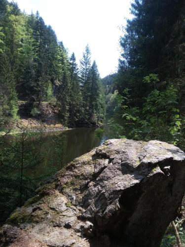 a large rock on the side of a river at Surki's Loggia an der Sonne in Schluchsee