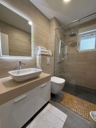 a bathroom with a sink and a toilet and a shower at Villa Sandra Promajna in Promajna