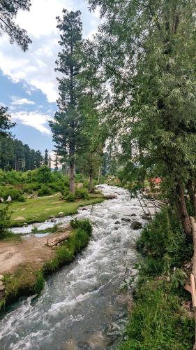 a stream of water with trees on the side at Chalet Rivera Doodpathri a Cozy 2BK cabin in Mujhpathar
