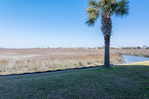 a palm tree in a field next to a river at Buried Treasure - Great Marsh Views on Harbor! in Nautical Watch Villas