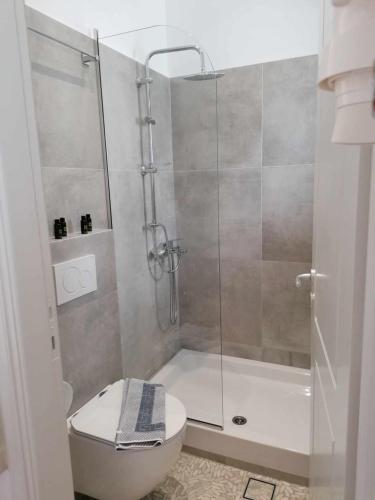 a bathroom with a shower with a toilet and a glass shower at Villa Vasiliki in Amorgos