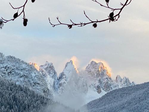 Gallery image of Fra Rose e Mughi in Domegge di Cadore