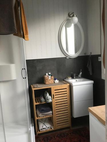 une petite salle de bain avec un lavabo et un miroir dans l'établissement Appartement ancien cosy, à Dieppe