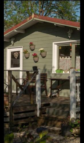 Le Mangoustan kreol opale