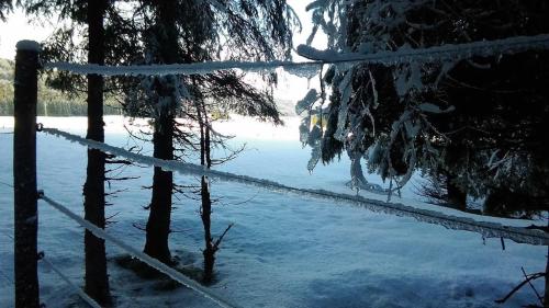 SpertにあるCasa Alpagoのギャラリーの写真