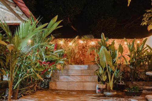 Κήπος έξω από το Hostal Casa Celeste