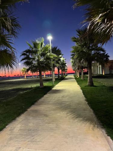 a sidewalk with palm trees on the side at Hey Apartment 1 in Hamallë