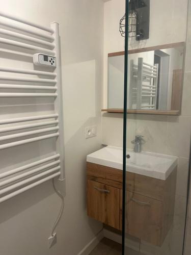 une salle de bain avec douche et lavabo dans l'établissement Le Nichoir des Lacs, au coeur du pays des Lacs, Jura, à Barésia-sur-lʼAin