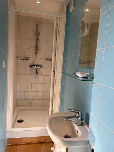 une salle de bain avec un lavabo et une douche dans l'établissement Lovely holiday stay, à Bassoues
