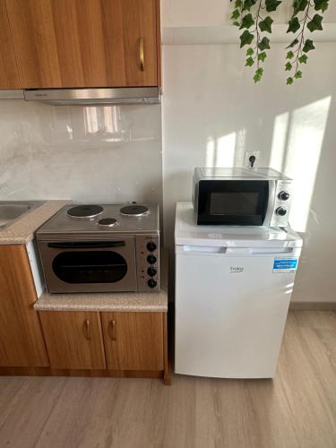 a kitchen with a stove and a microwave at Parthenis appartments in Pythagoreio