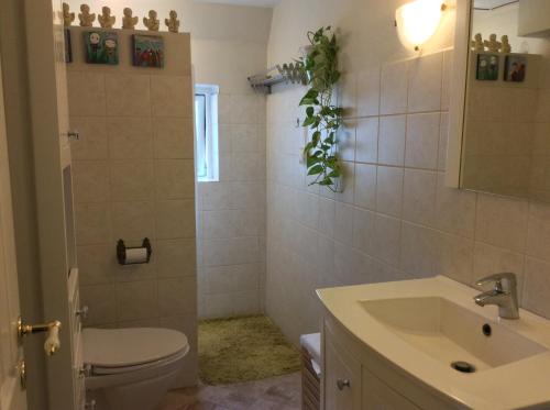 a bathroom with a white toilet and a sink at Bed and Breakfast - Stakdelen 47 in Allerup