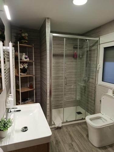 a bathroom with a shower and a toilet and a sink at San Andres 14 in Teruel