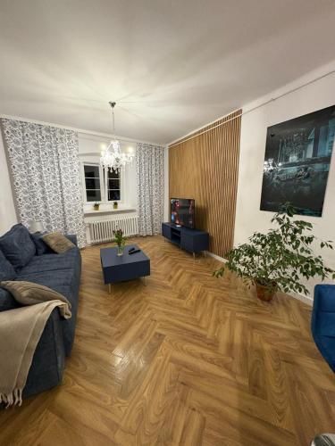 Tabago Studio 22 Nysa, Rynek