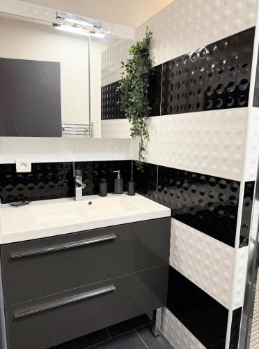 une salle de bain avec un lavabo et un miroir dans l'établissement Appartement terrasse - 50m plage, à Canet