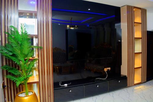 a room with a large mirror and a potted plant at Ike Service Apartments in Owerri