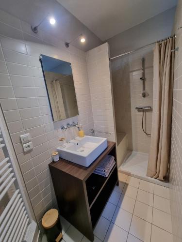 une salle de bain avec un lavabo et une douche dans l'établissement Logement indépendant Sacré Coeur, à Cholet