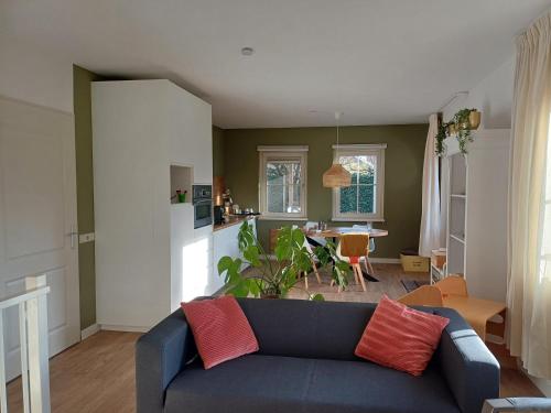 a living room with a blue couch with red pillows at Natuur Appartement Dinxperlo in Dinxperlo