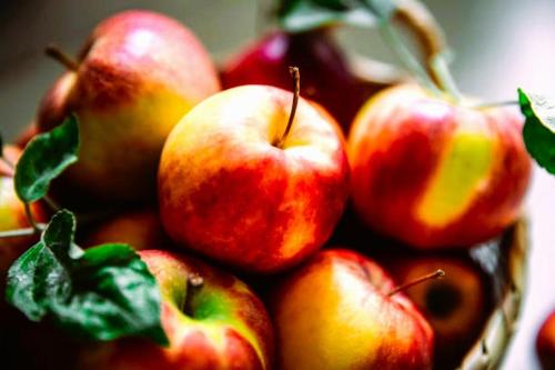 a bunch of apples in a bowl with green leaves at Urban Oasis in Grand Forks