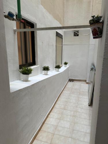 a hallway with potted plants in a building at Brisa de mar in El Perelló