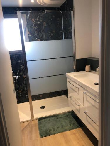 une salle de bain avec douche et lavabo dans l'établissement Maison 6 à 8 pers au bord du Lac de Biscarrosse, à Biscarrosse