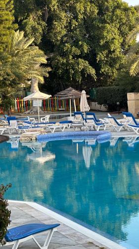 a swimming pool with blue chairs and umbrellas at Paphos gardens studio suite in Paphos City