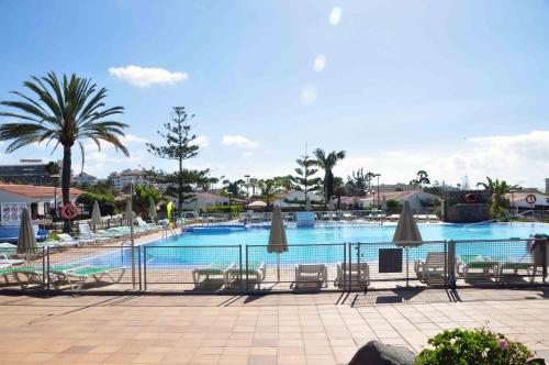 uma grande piscina com cadeiras e guarda-sóis em Bungalows Santa Clara em Playa del Inglés
