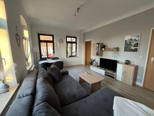 a living room with a couch and a tv at FeWo Blick zum Lulatsch in Chemnitz