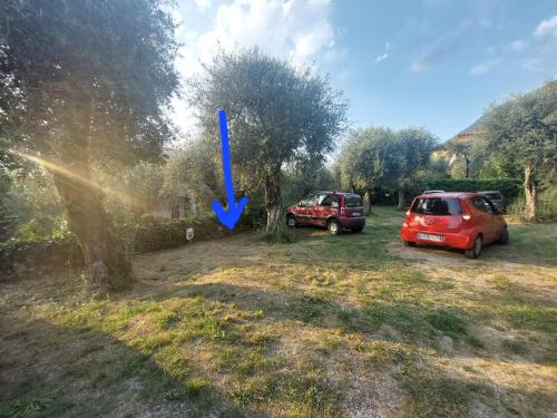 Zahrada ubytování NATALI Appartamens