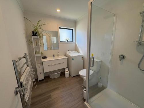 a bathroom with a toilet and a sink and a shower at Hank's Hut in Lake Tekapo