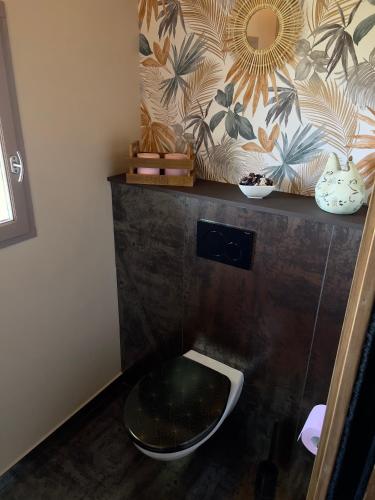 a bathroom with a toilet with a mirror on the wall at Le Domaine d'Adrien in Larnage