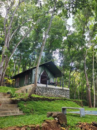 Trickling Stream Campsite