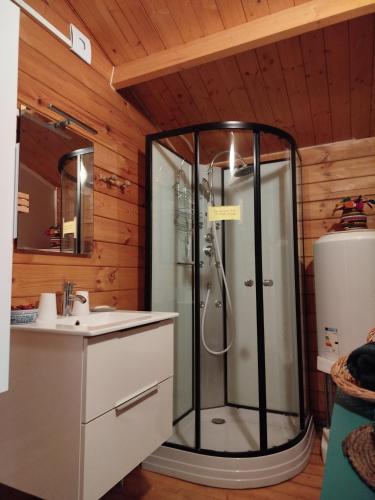 une salle de bain avec douche et lavabo dans l'établissement Le Mangoustan kreol opale, à Attin