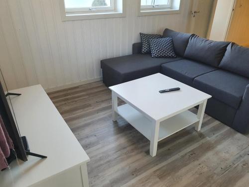 Una sala de estar con un sofá y una mesa de café. en 2-bedroom, walking distance to the city center, en Drammen