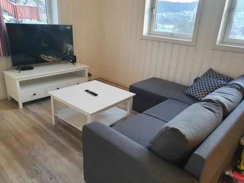 Una sala de estar con un sofá y un televisor de pantalla plana. en 2-bedroom, walking distance to the city center, en Drammen