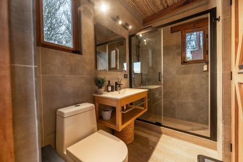 a bathroom with a toilet and a sink and a shower at Alma del desierto in Sólor