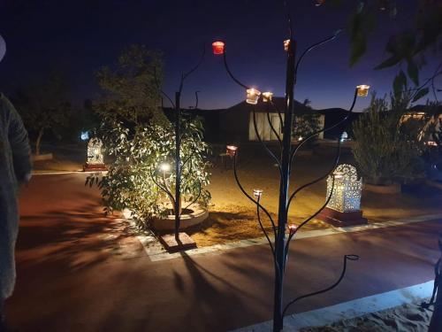 a street light with trees in a yard at night at Khadija Desert Camp in Merzouga