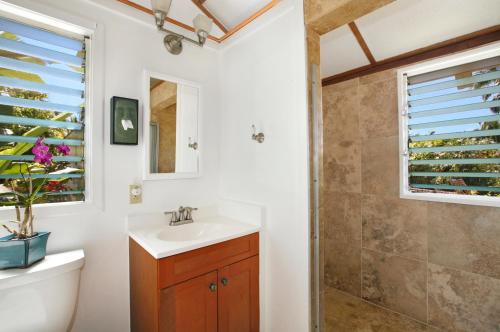een badkamer met een wastafel en een douche bij Fern Grotto Inn in Kapaa