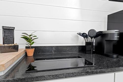 a kitchen counter with a sink with a plant at Ares Treehouse Romantic Hottub Fredericksburg EV in Fredericksburg