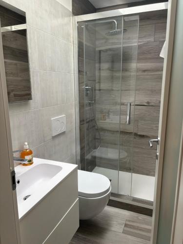 a bathroom with a toilet and a glass shower at Casa Palmy in Verbania