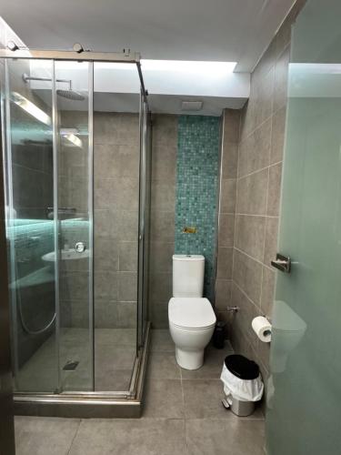a bathroom with a toilet and a glass shower at Antonia Apartments in Fira