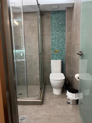a bathroom with a toilet and a glass shower at Antonia Apartments in Fira