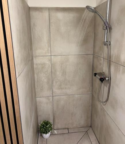 a shower with a shower head and a plant at GoodVibe House Billund by KIRIJA in Billund