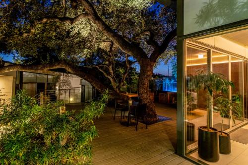 Zahrada ubytování Frame Hotel - Treehouse