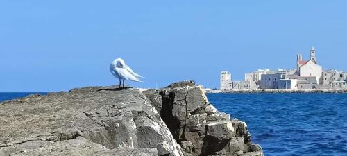 Paesaggio naturale nelle vicinanze dell'appartamento