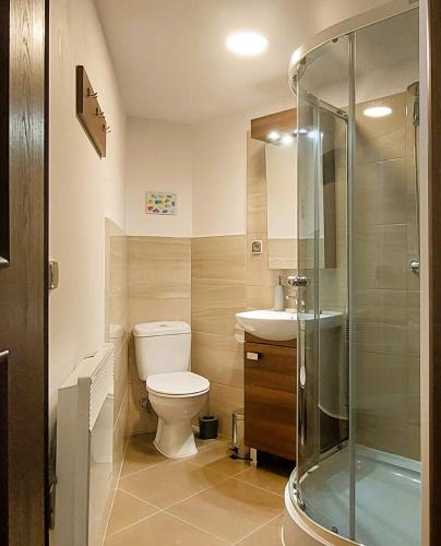 a bathroom with a toilet and a glass shower at Dom nad Jeziorem Łaśmiady in Sajzy