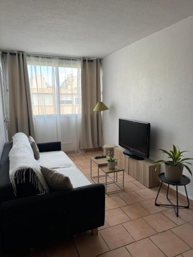 un salon avec un canapé et une télévision à écran plat dans l'établissement Appartement entre aéroport et promenade des anglais, à Nice