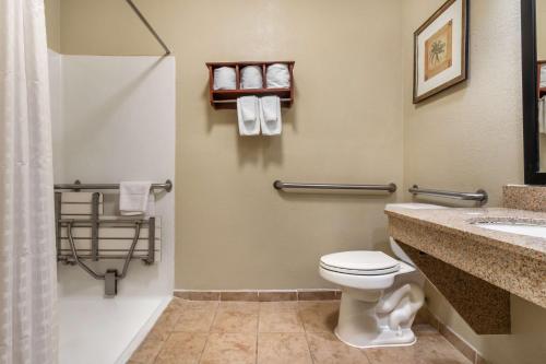 a bathroom with a toilet and a sink and a shower at Best Western St. Louis Fairview Heights in Fairview Heights