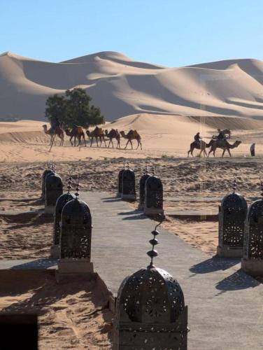 a group of horses running in the desert at Erg Chebbi Star Camp in Merzouga