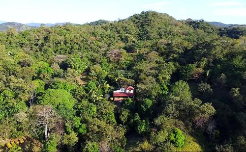 a train in the middle of a forest at CasaBravaVentura Jungle Ecofarm in Santa Catalina