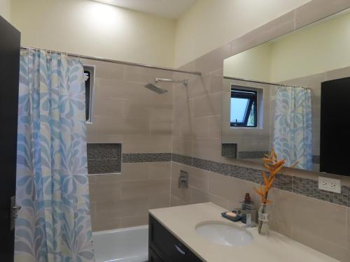 un bagno con un lavandino, uno specchio e una vasca di Dreamscape Villa a Ocho Rios